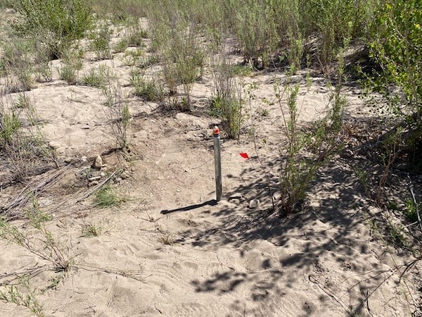 a stake and a flag in the sand indicate a groundwater monitoring well
