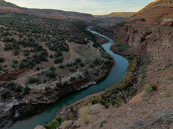 Dolores River at Salt Creek