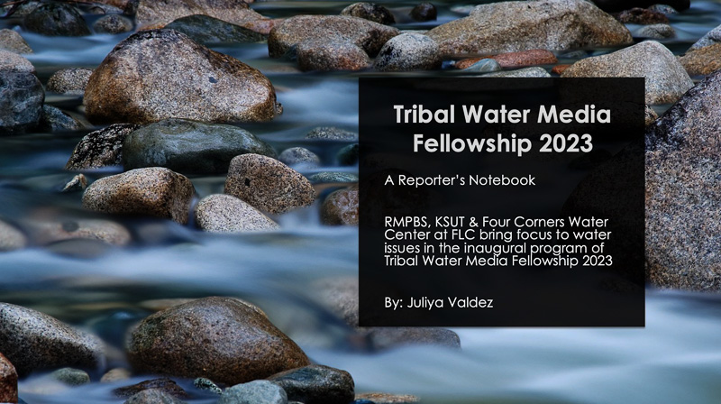 Title slide of Juliya Valdez's report